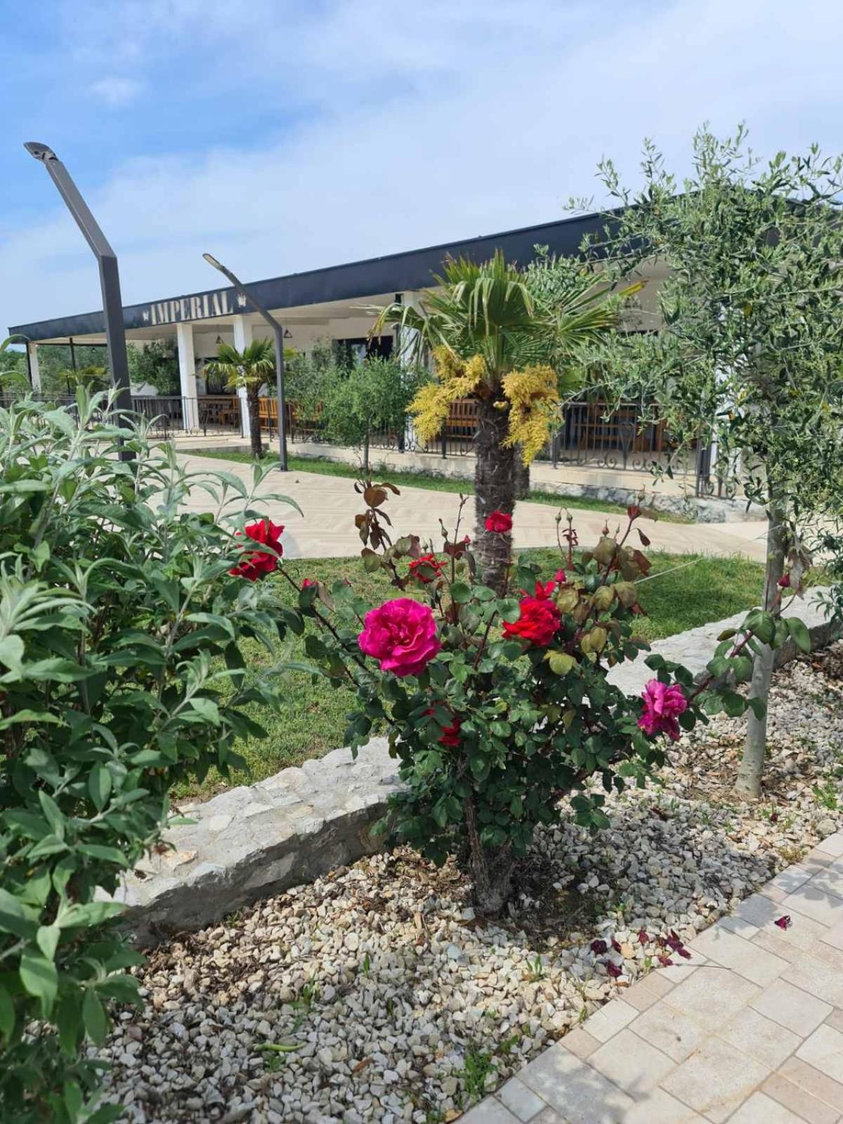 Imperial Family Resort Улцинь Екстер'єр фото